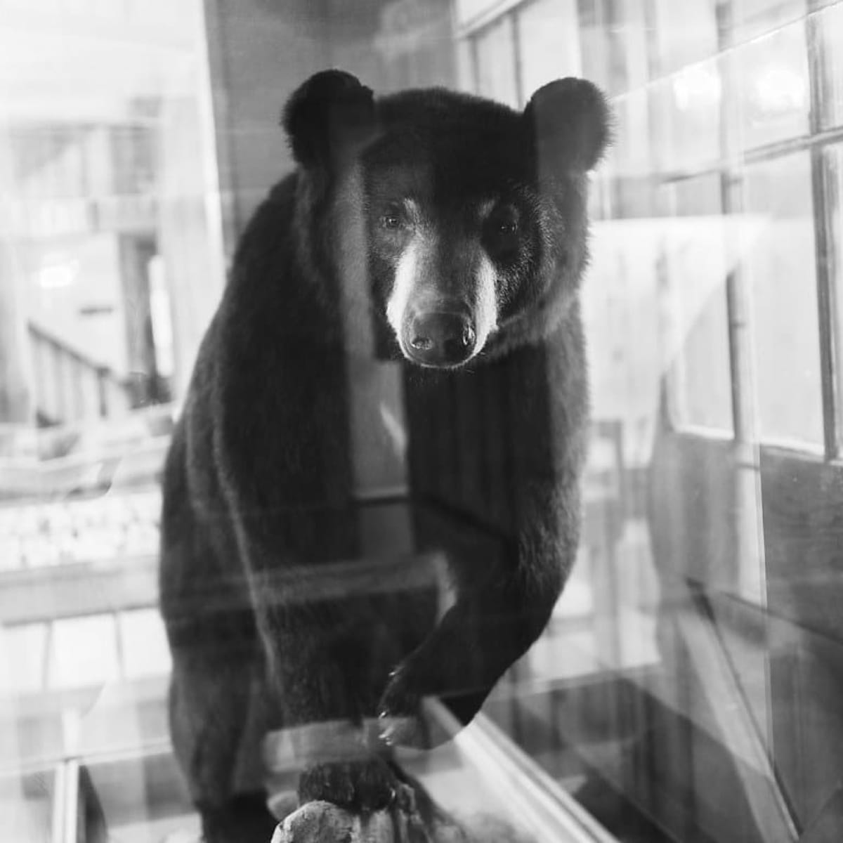 6. We're Back! -- With Poets, Artists, Cooks, and Community Organizers