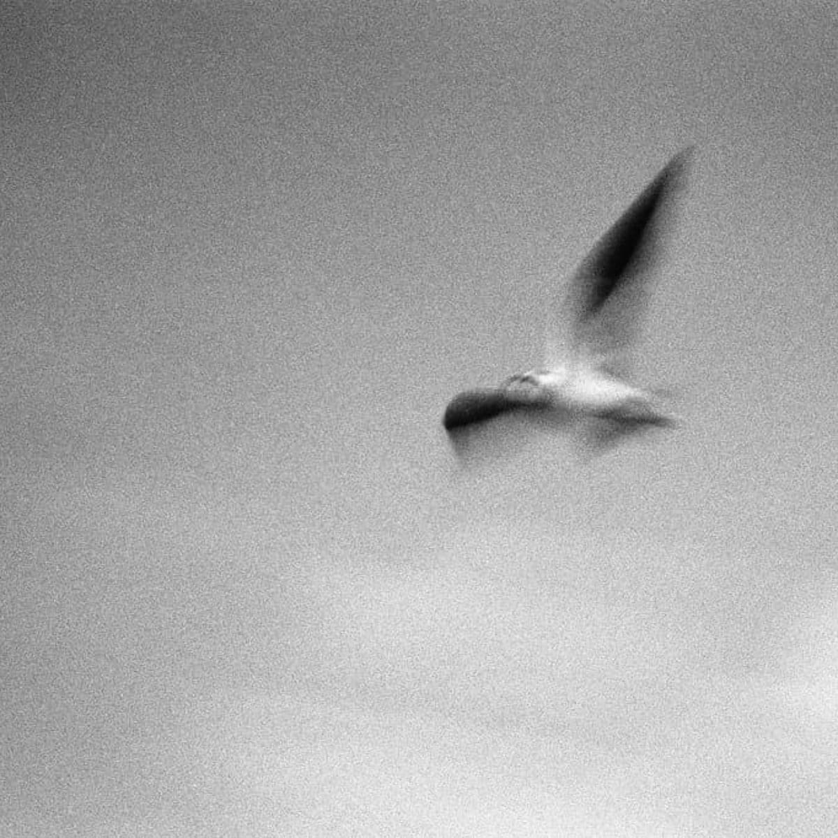 7. Vernon Haltom and Junior Walk -- Coal River Mountain Watch