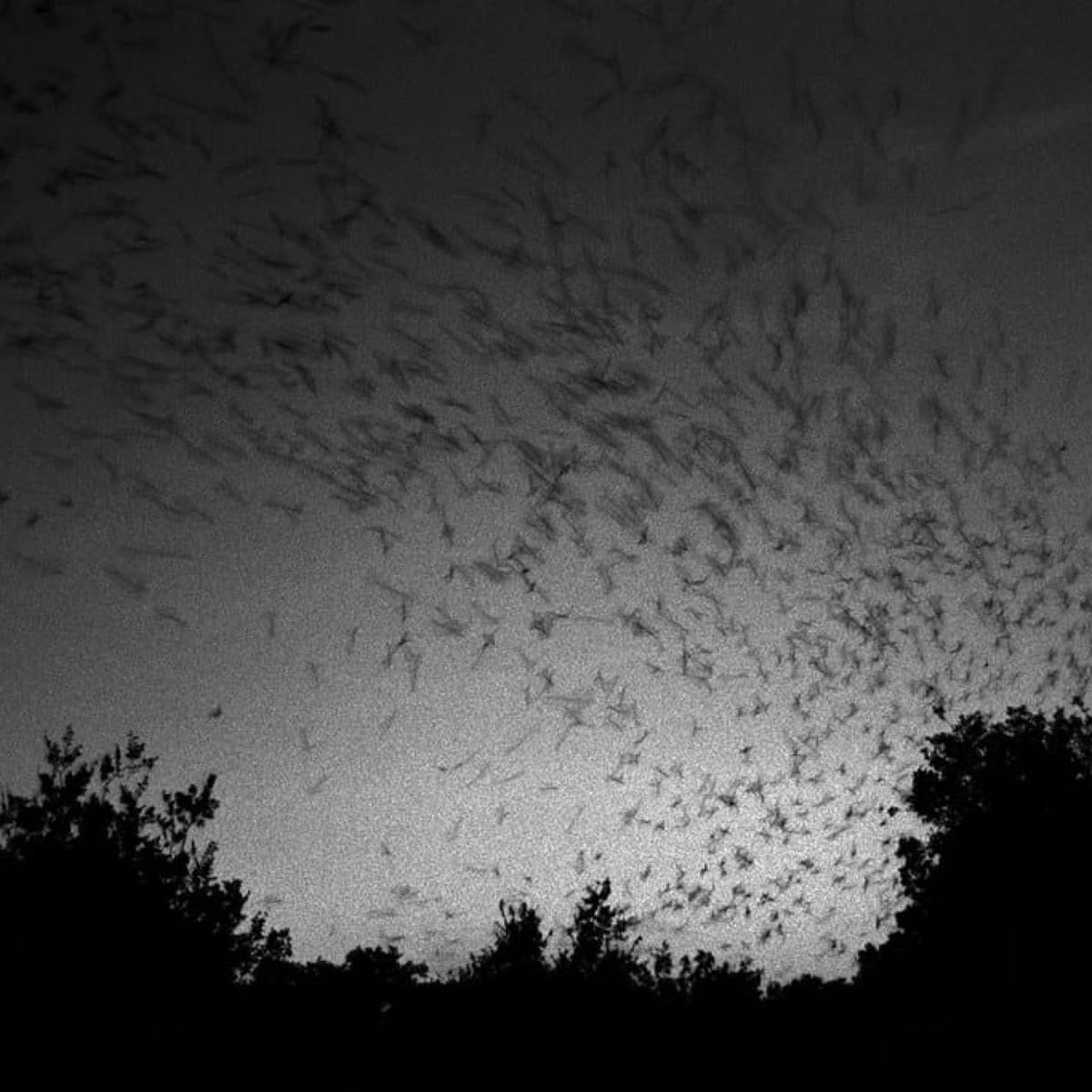 11. Elizabeth Bradfield -- "Plastic: A Personal History"