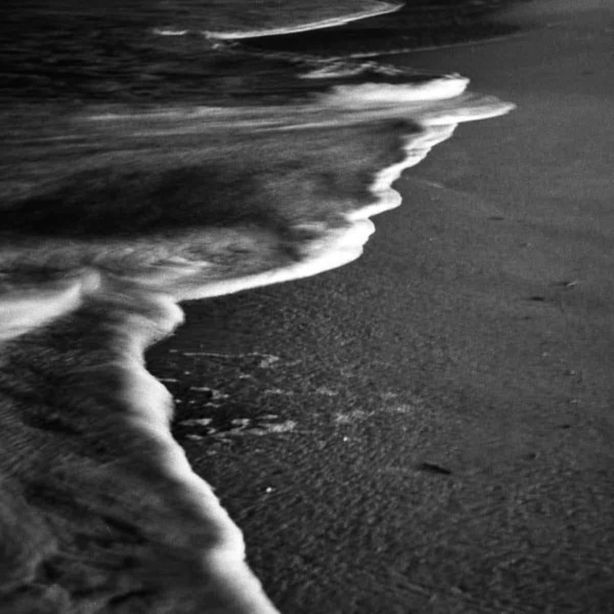 12. Dave Cortez -- The Education of a Chicano Climate Warrior