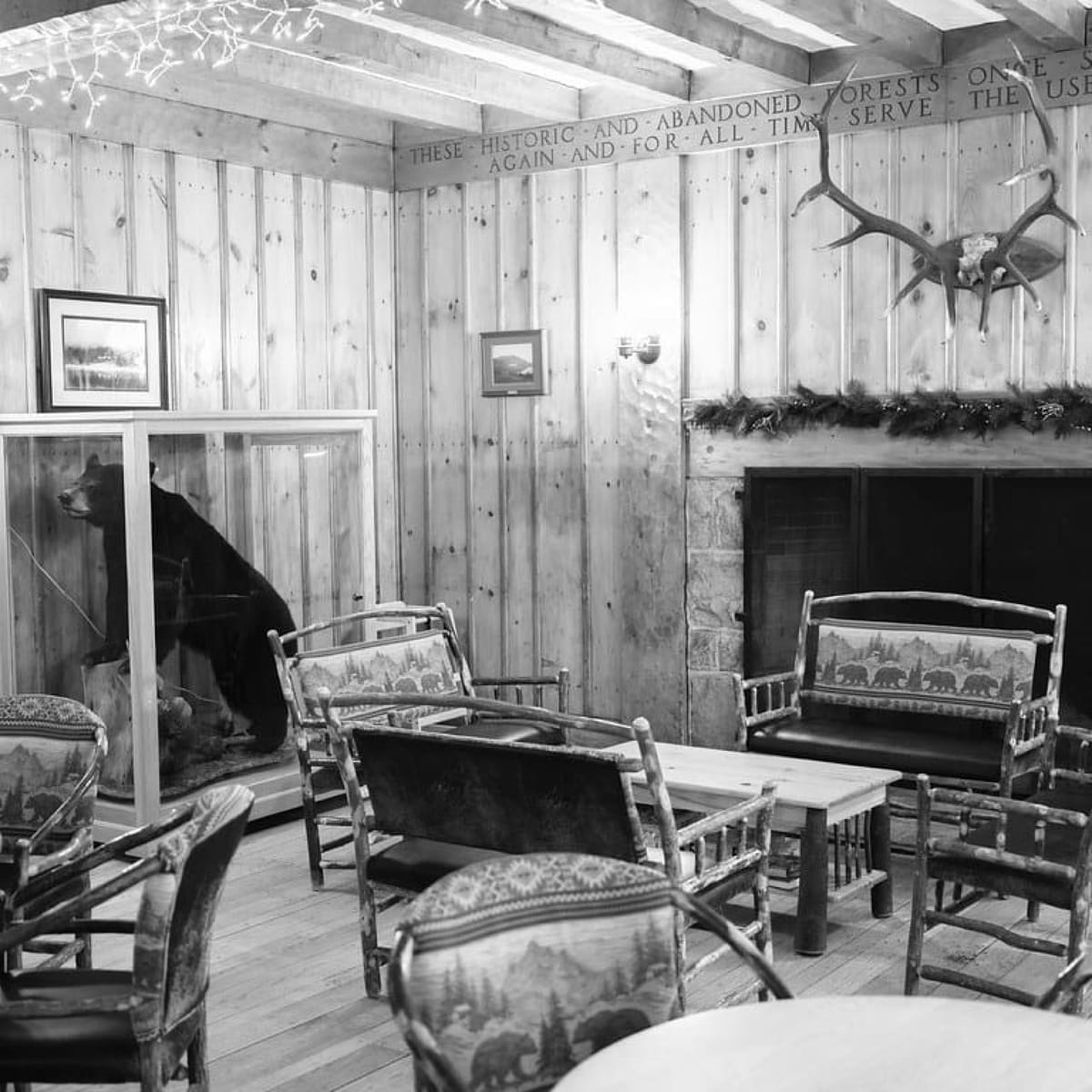 17. Allison Adelle Hedge Coke - "When the Animals Leave this Place"