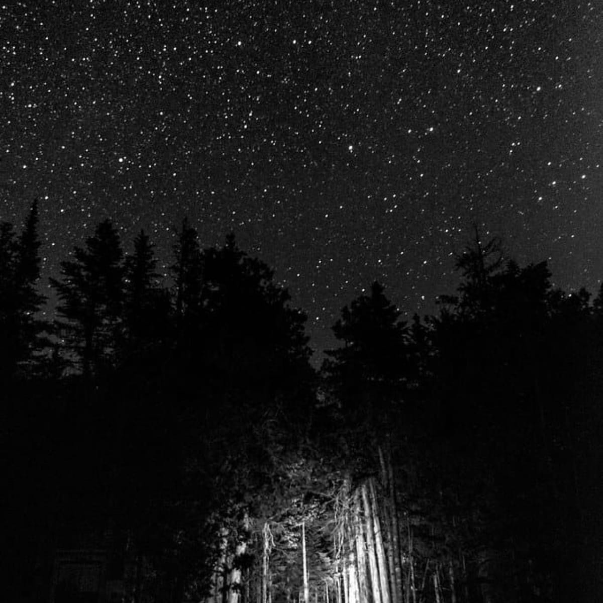 5. Heather Houser -- Deluged by Data in the Climate Crisis