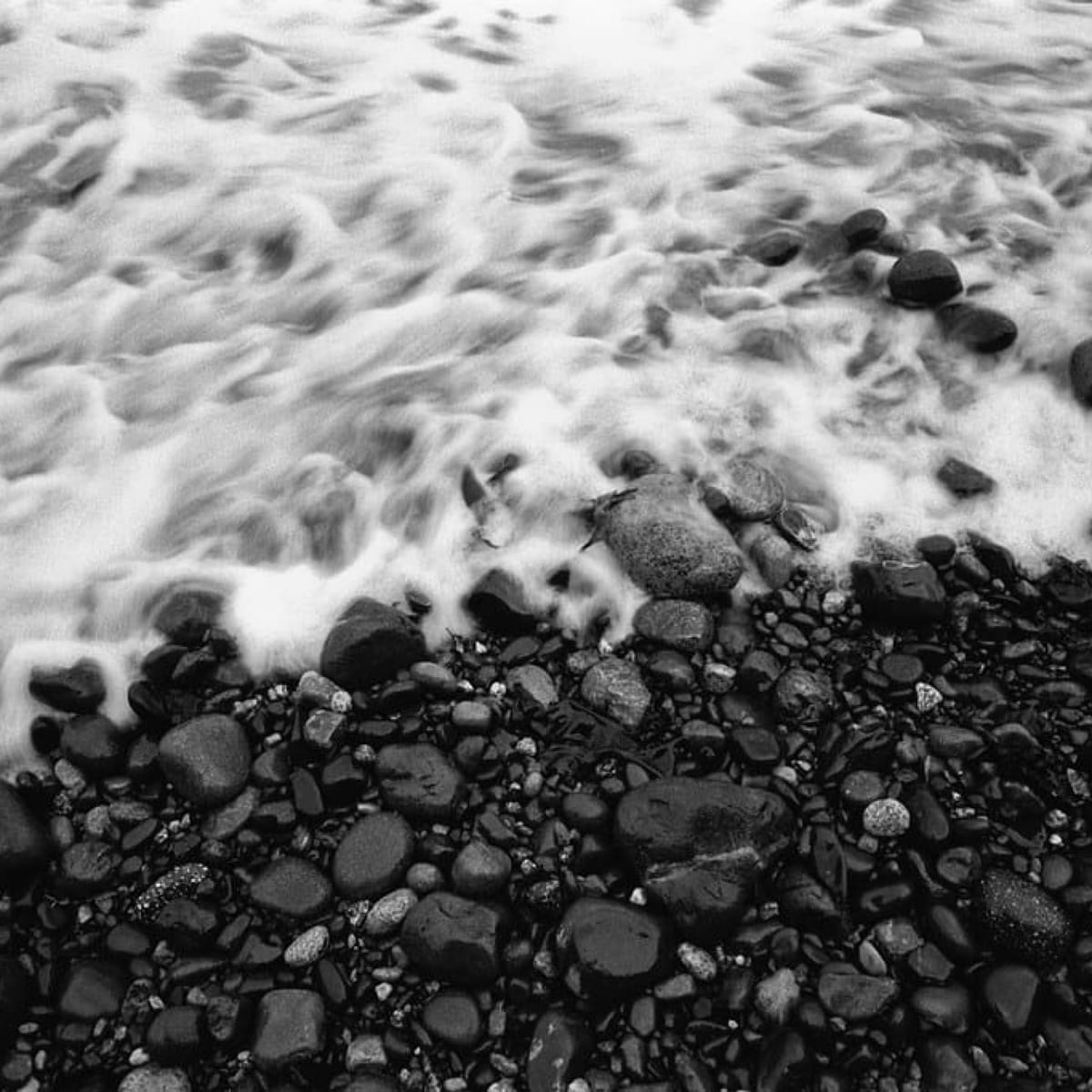 8. Constanza Ocampo-Raeder -- Tasting the Wind, Talking to Rocks, Listening to Rainbows