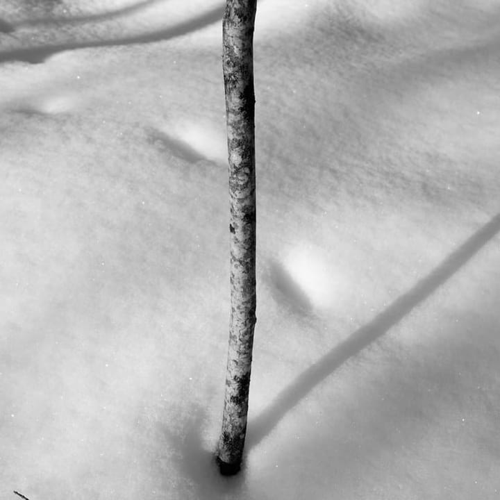 Don't Worry, Nothing Here Will Hurt You — Live Recording with Jim Morris