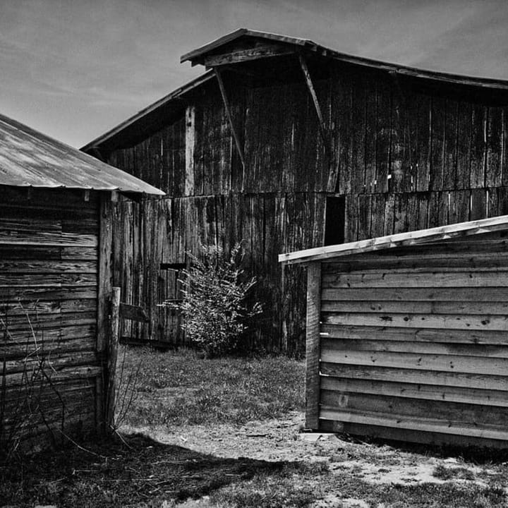Live Podcast Recording Event at the University of Texas at Austin