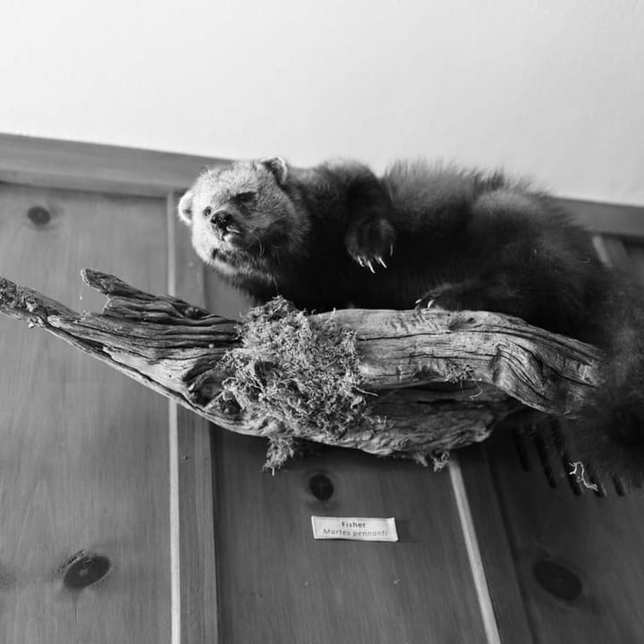 2. Jacqui Patterson -- Envisioning Eco-Communities amidst Toxic Legacies