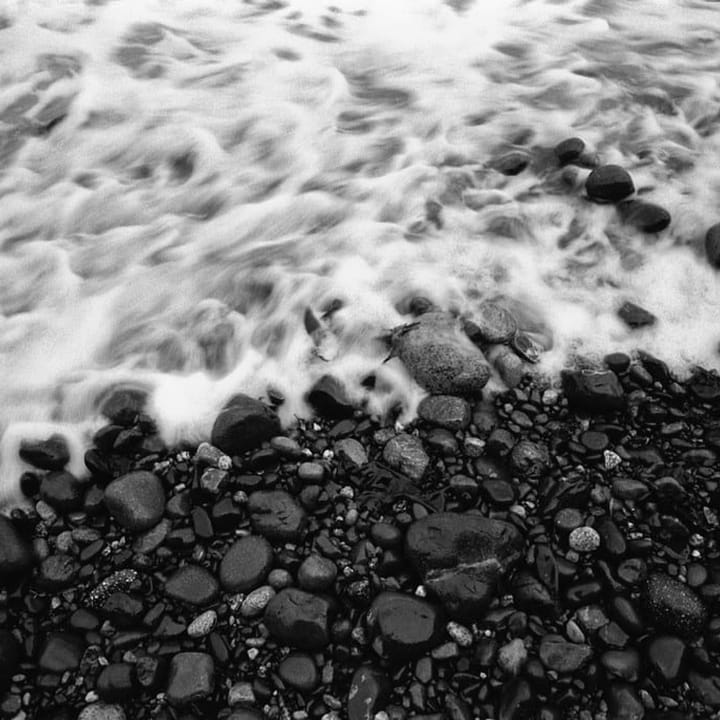 8. Constanza Ocampo-Raeder -- Tasting the Wind, Talking to Rocks, Listening to Rainbows