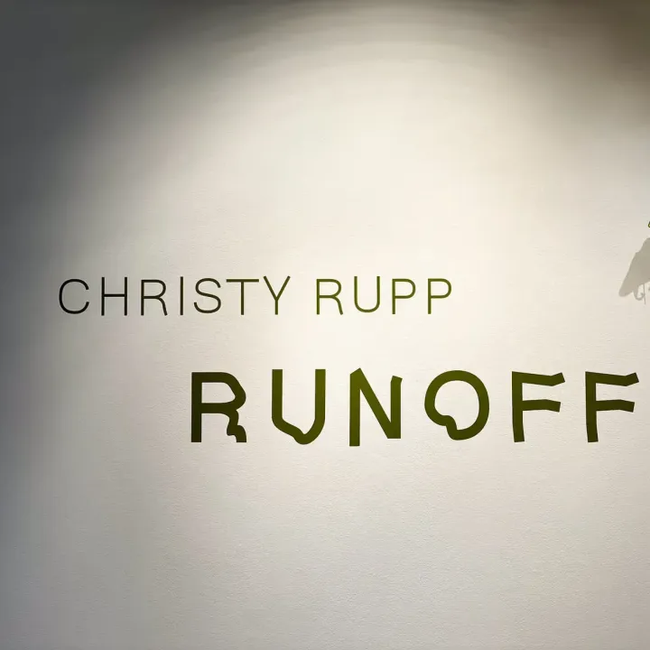 Rubble Rats to Runoff — Live Recording and Gallery Walk with Christy Rupp